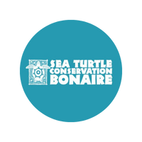 Sea Turtle Conservation Bonaire